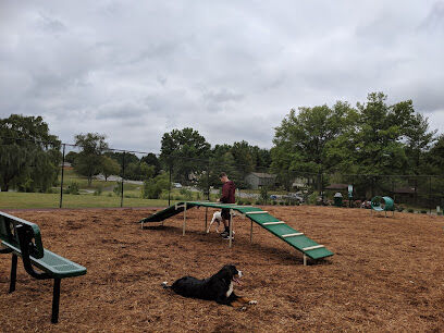 The Dog Park