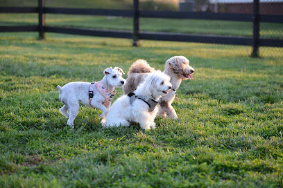 Creighton West Park Dog Park - Brambleton HOA