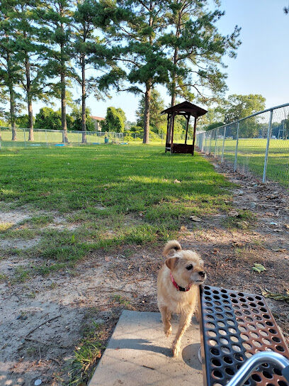 City Park Dog Park
