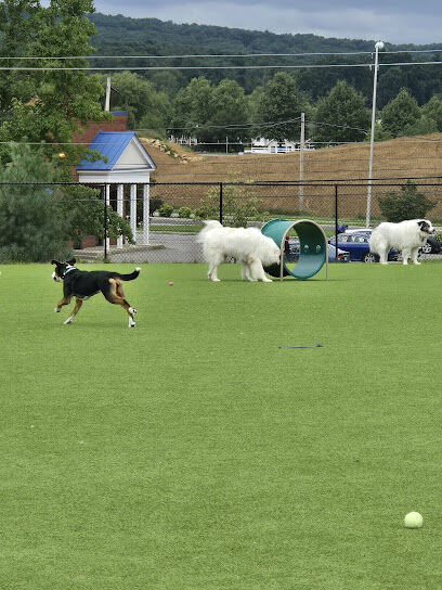 Dog Parks at Christiansburg Huckleberry Park