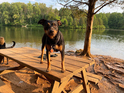 Chris Greene Lake Dog Park