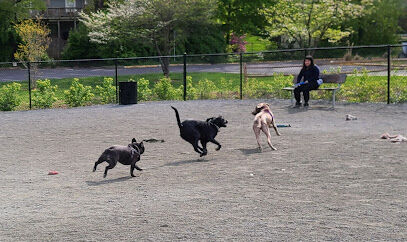 Fairfax City Dog Park