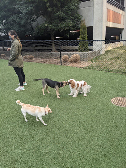 Halstead Square Dog Park