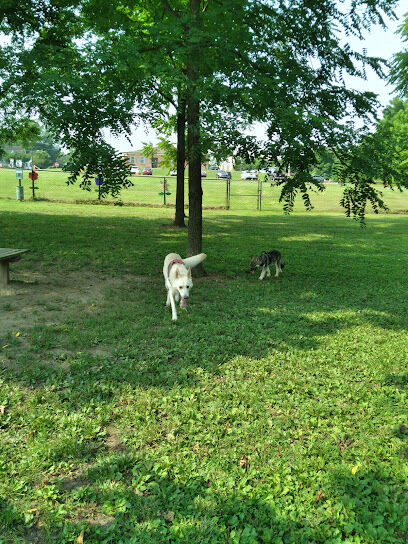 Dog Park