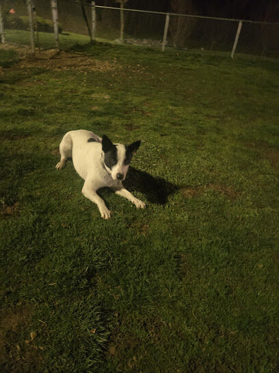 Dog Park at Love’s Travel Stops