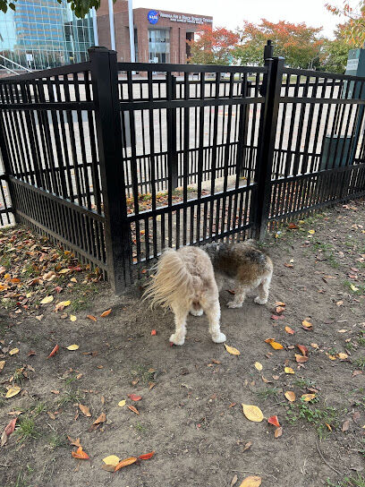 Downtown Hampton Dog Park