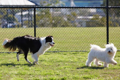 Dog Park