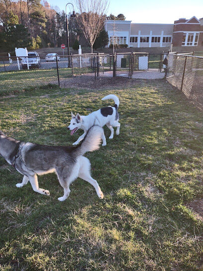 Scottie Yard Dog Park