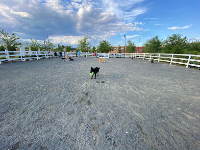 Dog Park