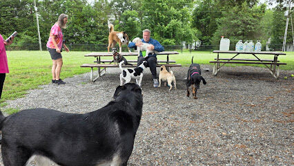 Happy Tails Dog Club