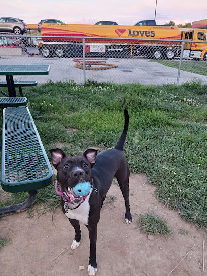 Dog Park at Love’s Travel Stops