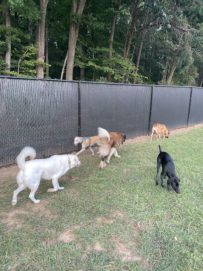 The Clover Hill Dog Park