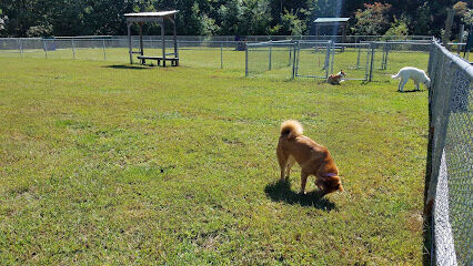Bark Park Dog Park