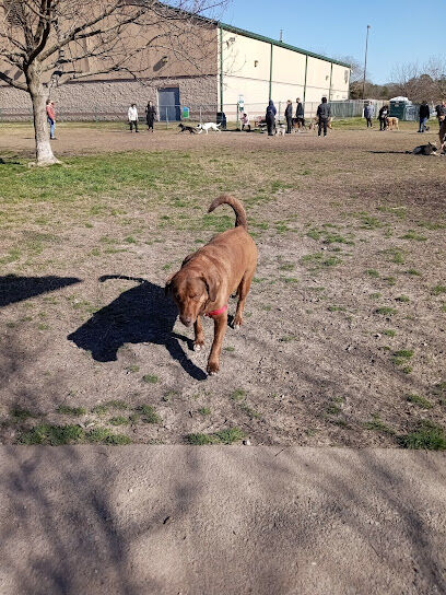 Fido Field