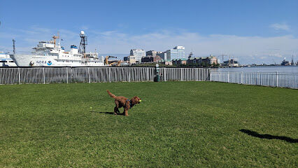 Bea Arthur Dog Park