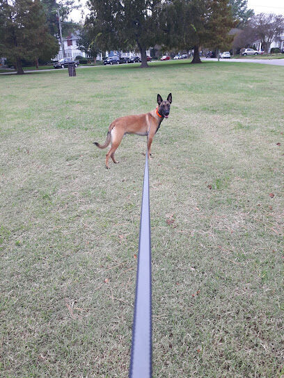 Cambridge Crescent Dog Park