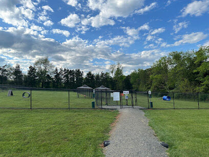 Skydog Orange Dog Park