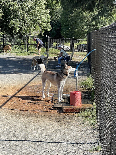 Baron Cameron Dog Park