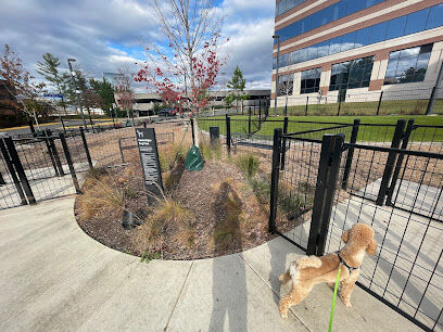 Canis Major Dog Park