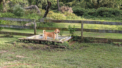 Church Hill Dog Park