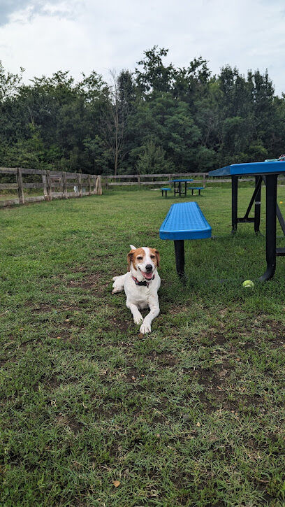 Northside Dog Park