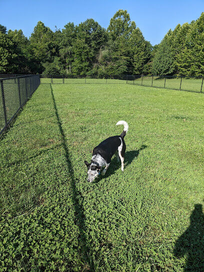 Rocky Mount Community Dog Park