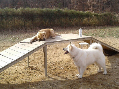 South Run Rec. Center Dog Park