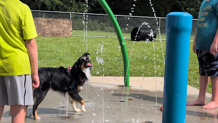 Bailey’s Legacy Dog Park