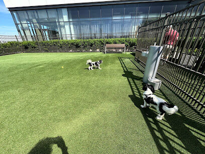 The Perch Sky Dog Park
