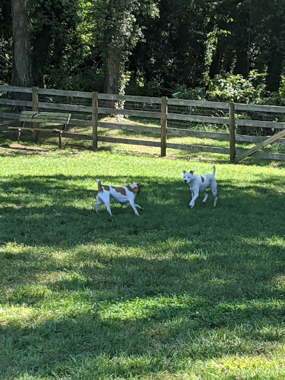 Warrenton Dog Park