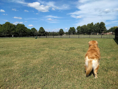 Kidsburg Dog Park