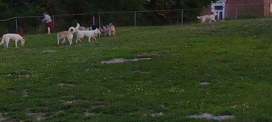 Brandon Dog Park