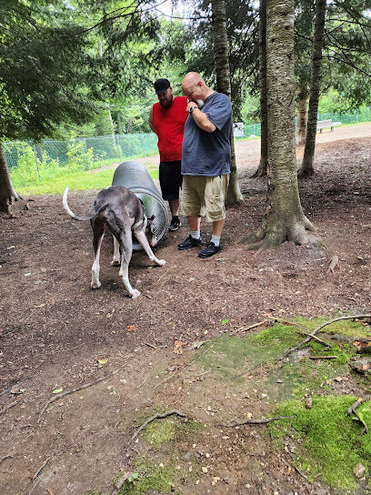 Petsafe Kingdom Dog Park