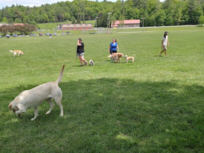 Dog River Field