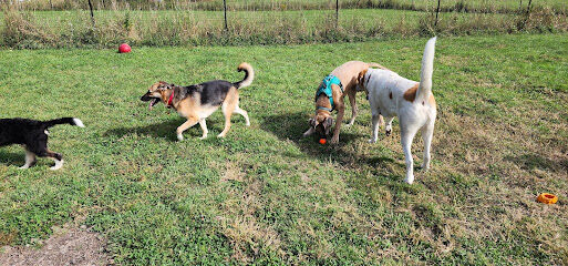Monkton Community Dog Park