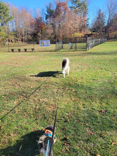 North Springfield Dog Park