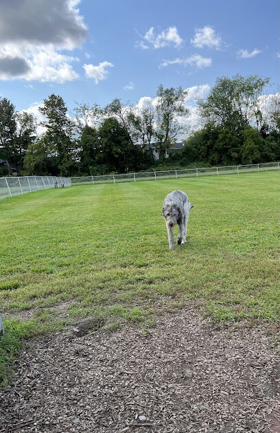 Rutland Dog Park