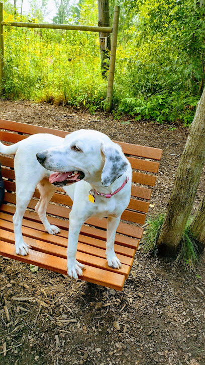 Shelburne Dog Park
