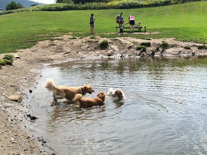 Dog Mountain, Home of Stephen Huneck Gallery
