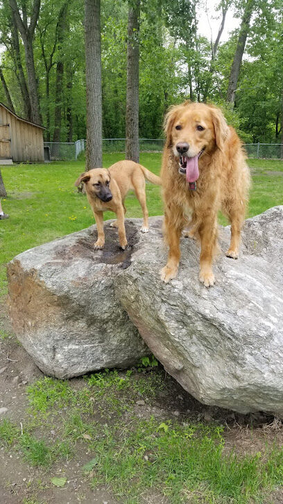 Waterbury Dog Park