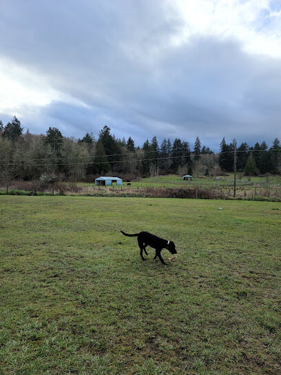 Freddie's Off-Leash Dog Park