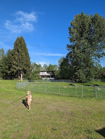 Offleash dog Park