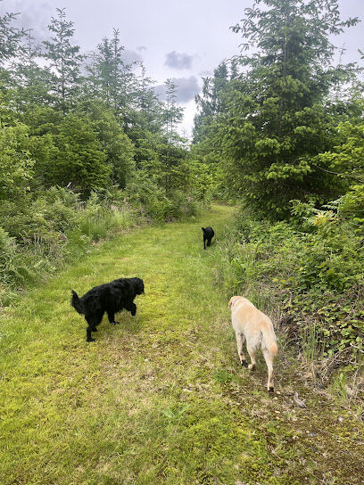 Pacific Forestlands