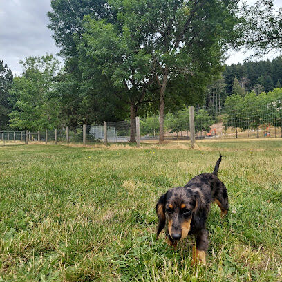 Off-leash park