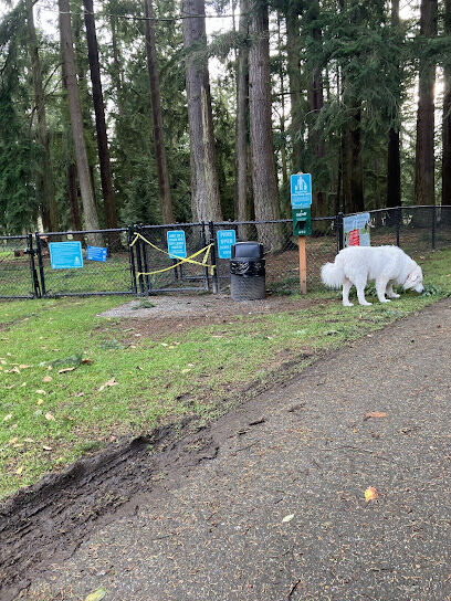 Crossroads Pop-up Dog Park