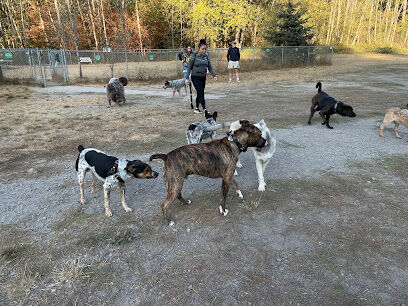 Lake Padden Dog Park