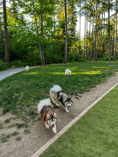 Hounds Hollow Dog Park