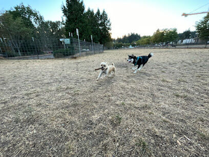 Bothell Pop-up Dog Park