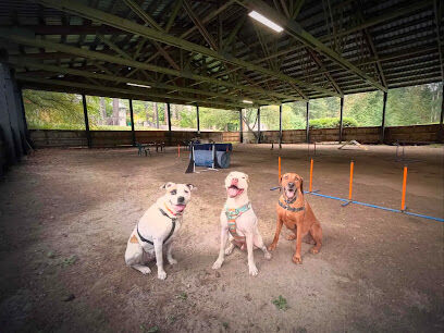 Linda's Private Arena for Dogs