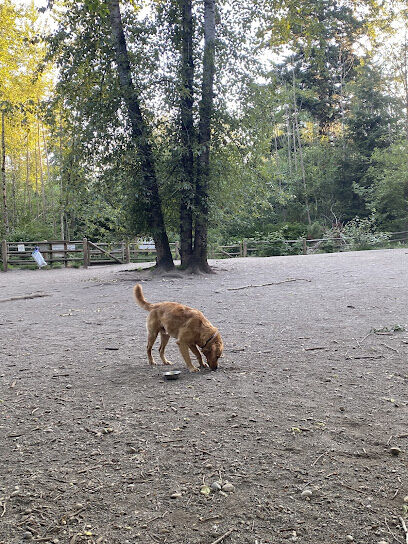Tambark Creek Off-Leash Dog Park